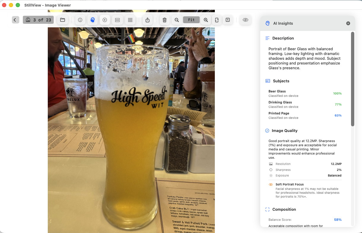 StillView AI insights panel reviewing an image