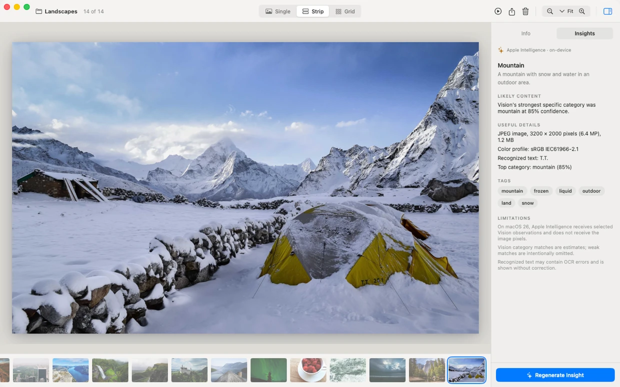 StillView insights panel describing a photo with on-device Apple Intelligence