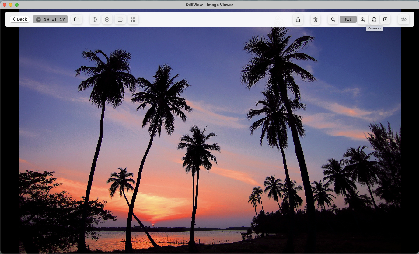 StillView gallery mode - browse collections seamlessly